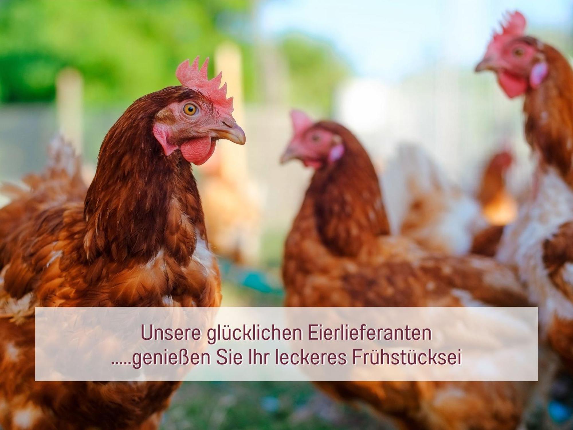 Designerwohnungen "Beim Schmied" In Chiemseenaehe トラウンロイト エクステリア 写真